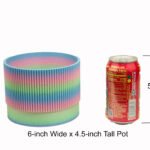 4-inch tall / 2-inch diameter